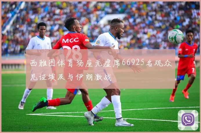 西雅图体育场座无虚席66925名观众见证埃及与伊朗激战